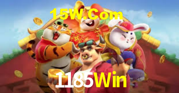 1185Win - Installation Guide